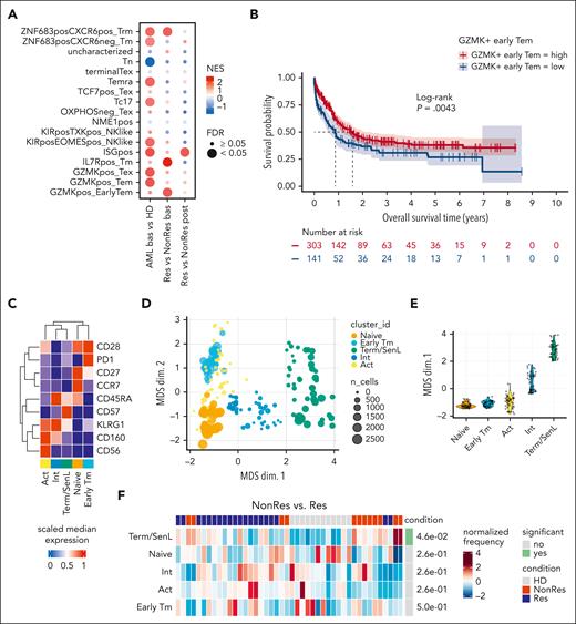 CD8+ T-cell states correlate with response in patients with AML. (A) Dot plot showing the enrichment of specific gene sets from pairwise GSEA comparisons (AML bas vs HD; Res vs NonRes bas; Res vs NonRes post) in bulk-RNAseq data (AML Res, n = 7, paired samples; AML NonRes, n = 10, paired samples; HD, n = 3). Size of dots indicates the statistical significance (large dot, FDR < 0.05; small dot, FDR ≥ 0.05); color scale shows the normalized enrichment score (NES). (B) Kaplan-Meier estimates of OS in patients (BeatAML2 cohort, n = 444 patients) with a GZMK+ early Tem signature above (n = 303) and below (n = 141) the optimal cut point, which was computed using the maxstat package in R. Survival curves were compared using a log-rank test. (C) Heatmap with the fluorescence intensity values of 9 markers across 5 CD8+ BM subsets from all samples annotated as naïve (CCR7+CD45RA+CD27+CD28+), Early Tm (CD28+, PD1+), Act (KLRG1+CD160+CD56+), and Term/SenL (CD45RA+CD57+KLRG1+). The median marker expression identifies the markers that characterize each cell subset. (D) MDS plot showing the distribution of flow cytometry CD8+ T-cell subsets. Each point represents a cluster-sample instance, colored by cluster to emphasize similarities between cell subpopulations. (E) Violin plot illustrating the distribution of flow cytometry CD8+ T-cell subsets along the MDS dim.1 axis. Each violin represents a different CD8+ T-cell subpopulation. (F) Heatmap showing relative cluster abundances by samples. Adjusted P values for the comparison NonRes vs Res are displayed, with significant comparisons (FDR < 0.05) highlighted in green. bas, baseline; GSEA, gene-set enrichment analysis; MDS dim.1, multidimensional scaling dimension 1; post, post-induction therapy.