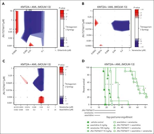 JNJ-75276617 exhibits synergistic effects with gilteritinib or venetoclax and azacitidine in AML. (A) KMT2A-r MOLM-13 cells were incubated with the indicated drug combination concentrations for 6 days (JNJ-75276617 and gilteritinib) in technical triplicates. The combination effect was calculated by extended Biochemically Intuitive Generalized Loewe (BIGL) package, with results shown under highest single agent (HSA) null model. Data from 3 independent experiments were pooled and analyzed. Combination effect is represented by the contour plots, with indicating antagonism (red area) and synergy (blue area) as represented by the intensity scale. Dot is proportional to the increase in effect compared with the null, and color intensity is statistical effect. (B) KMT2A-r MOLM-13 cells were treated with JNJ-75276617 for 8 days and venetoclax for 4 days in quadruplicate. The combination effect was calculated by extended BIGL package, with results shown under HSA null model. Data from 2 independent experiments were pooled and analyzed. Combination effect is represented by the contour plots, with indicating antagonism (red area) and synergy (blue area) as represented by the intensity scale. Dot is proportional to the increase in effect compared with the null and color intensity is statistical effect. (C) KMT2A-r MOLM-13 cells were incubated with the indicated drug combination concentrations for 8 days (JNJ-75276617 and azacitidine) and for 4 days (venetoclax) in quadruplicate. The combination effect was calculated by extended BIGL package, with results shown under HSA null model. Data from 2 independent experiments were pooled and analyzed. Combination effect is represented by the contour plots, with indicating antagonism (red area) and synergy (blue area) as represented by the intensity scale. Dot is proportional to the increase in effect compared with the null and color intensity is statistical effect. (D) Mice bearing disseminated MOLM-13 xenografts were treated with JNJ-75276617, venetoclax, azacitidine, or combinations at the dose levels indicated. Lines underneath the x axis indicate the dosing period for each drug. ∗ denotes significant difference (P ≤ .05) in survival compared with the vehicle control group.