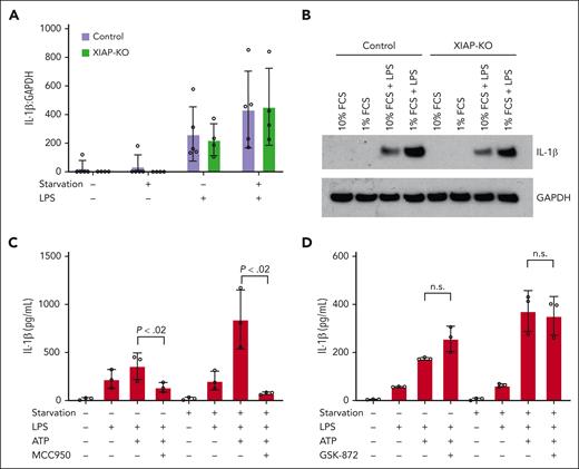 IL-1β hyperproduction is mediated by NLRP3 through a RIPK3-independent mechanism. (A) Control and XIAP-KO THP-1 cells were stimulated with LPS under standard (10% FCS) and serum starvation (1% FCS) conditions for 4 hours, followed by harvesting for RNA isolation and quantitative real-time PCR for IL-1β transcript levels. Results are normalized to GAPDH transcript levels. (B) Control and XIAP-knockout THP-1 cells were stimulated as indicated in panel A followed by protein extraction for western blotting using anti-IL-1β. Anti-GAPDH was used as loading control. (C) XIAP-KO THP-1 cells were stimulated as indicated under standard (10% FCS) or serum starvation (1% FCS) conditions with or without the addition of NLRP3 inhibitor MCC950. Supernatants were harvested at 4 hours for IL-1β measurement using ELISA. (D) XIAP-KO THP-1 cells were stimulated as indicated under standard (10% FCS) or serum starvation (1% FCS) conditions with or without the addition of RIPK3 inhibitor GSK872. Supernatants were harvested at 4 hours for IL-1β measurements by ELISA. All results are representative of 3 independent experiments. Graphs indicate the mean with standard deviation.