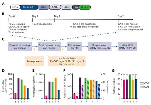 Study design and CAR-37 T-cell manufacturing. (A) Design of the lentiviral vector construct used to produce CAR-37 T cells. (B) Study design and (C) CAR-37 manufacturing process. (D) End-product percentage transduction of patient T cells as measured by the percentage EGFR+CD3+CD45+ cells in the live cell population (by 4′,6-diamidino-2-phenylindole staining) via flow cytometry. (E) Copies of CAR-37 vector per microgram of DNA in the final product as measured by PCR. (F) The total number of CAR-37 T cells produced per patient and available for dosing (left y-axis, solid bars) and the fold expansion of the patient’s T cells during manufacturing (x-axis, striped bars), along with the dose of CAR-37 T cells they received (black dots), are shown. (G) Percent of the final product that is CD4+ (colored bar, bottom) vs CD8+ (white bar, top). Cy, cyclophosphamide; DP, drug product; flu, fludarabine; PBMC, peripheral blood mononuclear cell; scFv, single-chain variable fragment.