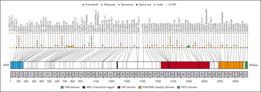 Deleterious germ line variants in ATM observed in the study cohort. The upper panel of the plot shows the predicted amino acid substitutions resulting from the determined germ line ATM variants identified in this study. Each rhomb/circle represents a detected pathogenic variant; for frequent variants (n>6), enlarged icons were generated, with the frequency written inside. Numbers in the grey bar denote the respective exon, and numbers below correlate to the amino acid sequence. Exonic variants are depicted by rhombs and black lines, while indels and 5' UTR variants are represented by circles and grey lines. The color codes representing the mutation types are as indicated in the upper right corner of the plot.
