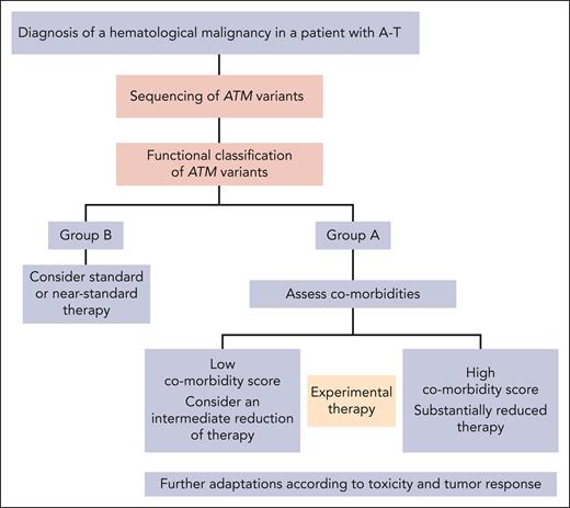Proposed stratification scheme for the treatment of patients with AT and hematological malignancies.