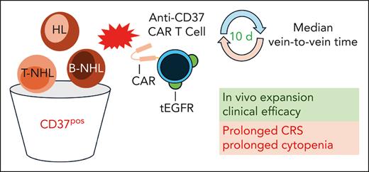 Patients with CD37-positive (CD37pos) HL and B- and T-cell non-Hodgkin lymphoma were treated with autologous anti-CD37 CAR T cells coexpressing a tEGFR. Median vein-to-vein time from apheresis to infusion of CAR T cells was 10 days. The CAR T cells expanded after infusion and showed clinical efficacy in heavily pretreated patients. A prolonged CRS and prolonged cytopenia were also observed. B-NHL, B-cell non-Hodgkin lymphoma; CAR, chimeric antigen receptor; CRS, cytokine release syndrome; HL, Hodgkin lymphoma; tEGFR, truncated epithelial growth factor receptor; T-NHL, T-cell non-Hodgkin lymphoma.