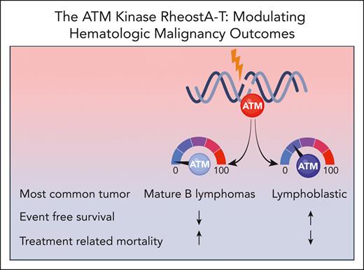 The level of ATM kinase activity impacts cancer spectrum and outcomes in individuals with A-T.