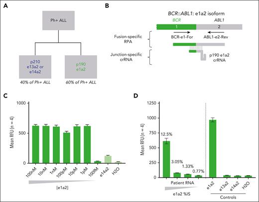 BCR::ABL1 p190 SHERLOCK assay for Ph+ ALL. (A) Prevalence of BCR::ABL1 p210 and p190 transcripts in Ph+ ALL. (B) Illustration of BCR::ABL1 p190 e1a2 assay design strategy with fusion-specific RT-RPA primers and junction-specific crRNA guides. (C) LOD for BCR::ABL1 p190 synthetic target. (D) Background-subtracted mean fluorescence intensity for serial RNA samples from patients with Ph+ ALL and controls. Corresponding RT-qPCR transcript %IS noted for each SHERLOCK measurement.