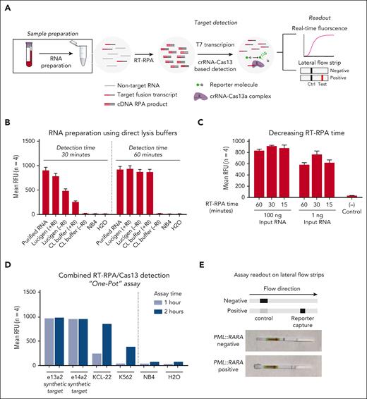 SHERLOCK optimization strategies. (A) Schematic of SHERLOCK workflow with areas of workflow optimization highlighted. (B) Comparison of direct cell lysis methods compared with column-based RNA purification from patient cells harboring PML::RARA short isoform at 30 minutes and 60 minutes of Cas13 detection. (C) Effect of decreasing RT-RPA time with fixed Cas13 detection time at 100 ng and 1 ng of input PML::RARA RNA. (D) Background-subtracted fluorescence intensity for detection of synthetic and cell line–derived BCR::ABL1 p210 isoforms using a 1-pot assay combining RT-RPA and Cas13a detection. (E) Demonstration of SHERLOCK assay readout in APL diagnostic sample using lateral flow strips.