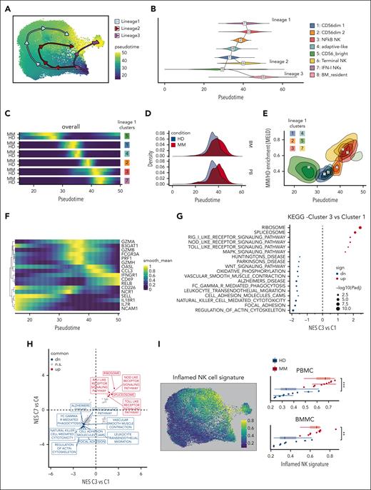Accumulation of late-stage inflamed NK cells in MM. (A) Trajectory analysis results overlaid on UMAP embeddings identified 3 lineages seeding from CD56bright NK cluster 5. (B) Branching of the minimum spanning tree built at the cluster level differentiates BM-resident NKs, terminal NKs, and inflammatory MM-enriched NK cells. (C) Cell density distributions along trajectory pseudotime describes NK cells differentiation. (D) Pseudotime distributions of PB and BM NK cells from patients with MM and HDs. (E) Trajectory pseudotime correlation with MELD MM vs HD likelihood. (F) Gene expression along pseudotime trajectory. (G) Comparison of gene expression programs between cluster 3 and 1 using GSEA analysis of KEGG gene sets. (H) Comparisons between GSEA normalized enrichment scores (NES) of C7 vs C4 and C3 vs C1 NK clusters. (I) An inflamed NK cell signature was generated with genes common to clusters C7 and C3 (see supplemental Table 5). UMAP and graphs showing its relative expression of in PB or BM HD and MM NK cells.