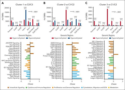 Cluster analysis of DMRs and corresponding pathway analysis. Analysis of DMRs and methylation-based pathway analysis integrating RNA expression data between clusters. Cluster 1 compared with cluster 2 and cluster 3 (A), cluster 2 compared with cluster 1 and cluster 3 (B), and cluster 3 compared with cluster 1 and cluster 2 (C). DMR statistical analysis was conducted using the Pearson χ2 analysis comparing expected with observed values to determine P value. AKT, protein kinase B; CDK, cyclin-dependent kinase; ECM, extracellular matrix; ERK, extracellular signal-regulated kinase; FAK, focal adhesion kinase; GPCR, G protein-coupled receptors; ID1, inhibitor of DNA binding 1; IGF-1, insulin-like growth factor 1; mTOR, mammalian target of rapamycin; PTEN, phosphatase and tensin homolog; TGF, transforming growth factor; TME, tumor microenvironment; VEGF, vascular endothelial growth factor.