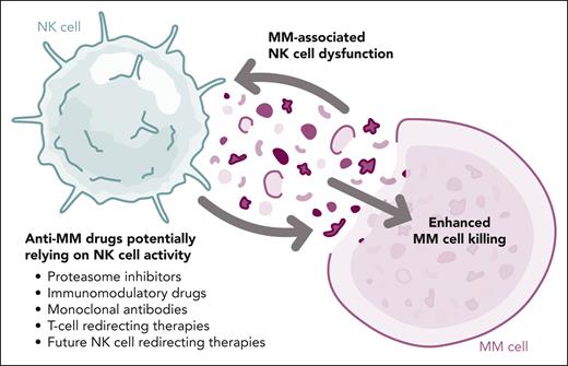 Interplay between NK cell functionality and treatment of patients with MM. MM, multiple myeloma; NK, natural killer. Professional illustration by Somersault18:24.