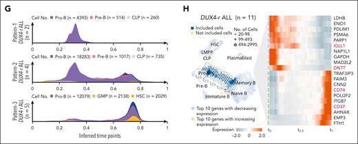 Projection of blast cells onto normal B-cell maturation trajectory shows variable maturation blocks between different subtypes of BCP-ALL. (A) A force–directed knn graph of cells involved in B-cell maturation from NBM samples, based on scRNA-seq data, colored by cell type with an accompanying cell density plot of numbers of cells along the trajectory. Inferred time points (t0.0-t1.0) are indicated along the trajectory. The 3 most common annotations are visualized at the top of the cell density plot. This force–directed knn graph was used as a reference for the projection of ALL blast cells in (C-F). (B) The force–directed knn graph of NBM B-cell trajectory colored by BCR chain status with an accompanying cell density plot of numbers of cells along the trajectory. The minus sign (−) indicates a feature that is not detected, the plus sign (+) indicates a feature that is detected, and a plus/minus sign (±) indicates that this category does not rely on the detection of this feature (ie, it can be either detected or not detected). The colors for the 3 most common annotations are visualized at the top of the color-coded cell density plots. (C-F) Single-cell projections of blast cells from all patients representing BCR::ABL1+ (n = 4), ETV6::RUNX1+ (n = 4), HeH (n = 4), and DUX4-r ALL (n = 11) onto the NBM reference. The density of the projected cells is visualized by hexagon size. Gene expression differences compared with the NBM reference, based on the local outlier factor, are highlighted by the color gradient. Cell density plots below the projection illustrate the number of cells along the trajectory and are color-coded by cell type (upper) and BCR chain status (lower). The color for the 3 most common annotations is visualized on the top of the color-coded cell density plots. (G) Three cell density plots illustrating the numbers of DUX4-r blast cells along the trajectory color-coded by cell types, presenting 3 cellular differentiation patterns observed within DUX4-r ALL denoted Pattern-1 (upper), Pattern-2 (middle), and Pattern-3 (lower). The color for the 3 most common annotations is visualized on the top of the color-coded cell density plots. (H) NBM reference knn graph projection of blast cells from all DUX4-r ALL samples, with time point path (t0.0-t1.0) indicated in gray, and an associated heat map showing the gradual gene expression changes along the path (with genes selected by variance filtering and linear regression). The genes marked in red represent lineage-defining genes for B cells. CLP, common lymphoid progenitor; IGH, heavy chain; IGLL1, surrogate light chain; IGL/K, light chain; p, productive; np, nonproductive.