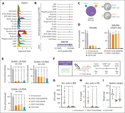 DUX4-r ALL is susceptible to killing by CAR T cells directed against the myeloid–associated marker CD371. (A) Cell surface marker CD371 expression in BCP-ALL blast cells and residual nonleukemic hematopoiesis as determined by scADT-seq. (B) Open chromatin in the gene region of the CLEC12A gene (that encodes CD371) is visualized in BCP-ALL blast cells and other cell types. (C) Schematic illustration of targeting of DUX4-r ALL blast cells expressing CD371 and CD19 on the cell surface by CD19 and CD371 CAR T cells, respectively. (D) Coincubation with wild-type NALM6 displayed antitumor activity against CD371 and CD19 CAR T cells. Only CD19 CAR T cells retained the cytotoxic activity in NALM6-CD371-KO lacking CD371 expression. (E) Effective ex vivo targeting of DUX4-r ALL blast cells in 3 independently derived DUX4-r PDX samples. The proportion of live PDX cells after CAR T cell treatment. (F) Experimental design for in vivo targeting of the DUX4-r-13 PDX sample in immunodeficient mice using CD371-CAR (44544) T cells, CD19-CAR T cells, or untransduced T cells. (G) The number of human DUX4-r blast cells (ALL cells) in BM at the end point. (H) Number of human DUX4-r blast cells (ALL cells) in PB at the end point. (I) Spleen weight at the end point. PB, peripheral blood.