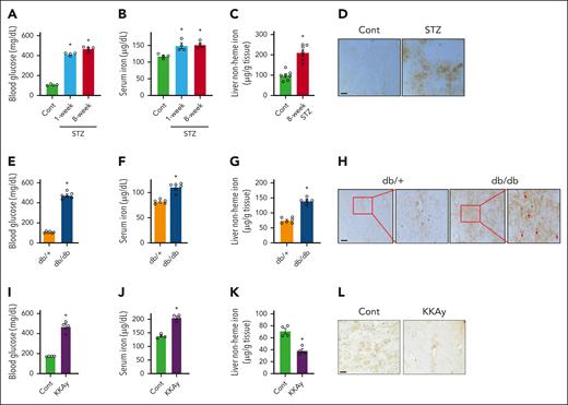 Body iron status in different diabetic mouse models. Male mice treated by (A-D) STZ, (E-H) male db/db mice, and (I-L) KKAy mice were studied in comparison with their corresponding controls (Cont). (A,E,I) Blood glucose, (B,F,J) serum iron, and (C,G,K) liver nonheme iron levels were determined. Perls iron staining was performed to show the magnitude of iron deposition in the liver of diabetic and control mice for panels D,H,L. Data are expressed as mean ± standard error of the mean (SEM; n = 4-7 mice per group). ∗P < .01 compared with the corresponding controls. Red arrows denote Kupffer cells in the liver of db/db mice. Bars, 100 μm.