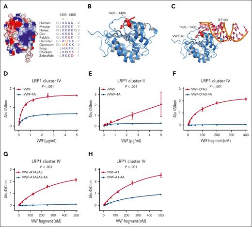 Lysine 1405-1408 residues in the VWF-A1 domain constitute a critical LRP1 binding site. (A) A cluster of 4 contiguous lysine residues (K1405, K1406, K1407, and K1408) are located on the surface of the VWF-A1 domain (electropositive residues in blue and negative residues in red). These Lys residues are conserved throughout VWF species sequences. (B-C) VWF-A1 domain cocrystallized with aptamer BT100 (pdb 7f49; Zhu et al19) showing the aptamer (orange) interacts in proximity to K1405-K1408 (red) within VWF-A1 (blue). To investigate the importance of the K1405-K1408 cluster in the VWF-A1 domain in regulating LRP1 binding, site-directed mutagenesis was used to replace the 4 lysine residues with alanine in full-length rVWF (rVWF-4A). Subsequently, the binding of wild-type rVWF and rVWF-4A to LRP1 cluster IV (D) and cluster II (E) were assessed in plate-binding studies. Similarly, the effect of alanine mutagenesis of K1405-K1408 on LRP1 cluster IV binding was also assessed in rVWF truncations including VWF-D’A3-4A (F), VWF-A1A2A3-4A (G) and VWF-A1-4A (H). Dots represent the mean absorbance at 450 nm at the corresponding VWF concentrations. Error bars depict the standard deviations. P values are outcomes of extra-sum-of-squares F test and compare the binding capacity of VWF constructs with or without –4A to LRP1 cluster IV or cluster II. Abs, absorbance.