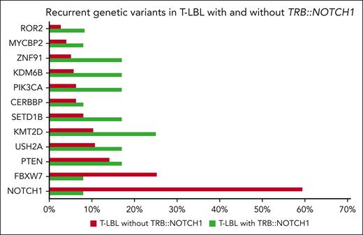 Recurrent genetic variants in pediatric T-LBL cases according to TRB::NOTCH1. Frequency of common genetic variants identified in T-LBL cases. Green bars denote the cohort of cases with the fusion, and red bars represent T-LBL without the fusion. Data were derived from previously analyzed patients on the molecular profile of T-LBL, including 80 genes, such as RAS, LEF1, PHF6, DNM2, and WT1. Despite these, no additional variants were detected in the 12 cases with TRB::NOTCH1 fusions.