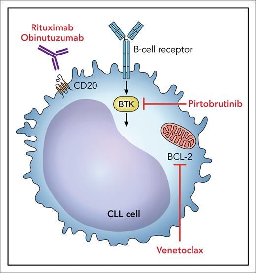 Potential targets for combination therapy with pirtobrutinib include BCL-2 inhibitors and anti-CD20 monoclonal antibodies. Professional illustration by Patrick Lane, ScEYEnce Studios.