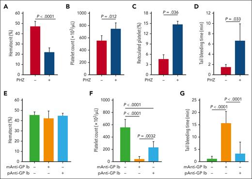 Influence of RBCs and platelet concentration on tail bleeding time. For the hemolytic anemia model, mice were evaluated 24 hours after being treated with PHZ (n = 13) or an equal volume of buffer control (n = 15) for hematocrit (A), platelet count (B), reticulated platelet percentage (C), and tail bleeding time (D) (t test). For the ITP model, mice were evaluated for hematocrit (E), platelet count (F), and tail bleeding time (G) 3 hours after IV injection of a monoclonal (n = 6) or polyclonal (n = 10) anti-GP1bα antibody (1-way ANOVA).