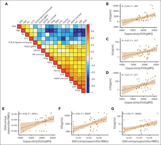Correlation matrix of inflammasome activation flow cytometry markers, soluble biomarkers, and clinical laboratory tests within the KAD cohort. (A) Multiparameter Spearman correlation matrix of inflammasome activation markers, soluble biomarkers, and clinical laboratory tests from all participants with KAD. KSHV-VL represents copies per million PBMCs. (B-G) Individual correlation plots highlighting significant associations by Spearman r between caspase activity, KSHV-VL, and key KAD-related inflammatory cytokines. Hgb, hemoglobin; Plt, platelets; PTX3, pentraxin-3.