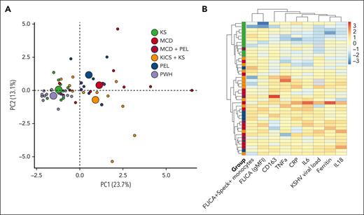 Multidimensional analysis and heat map with unsupervised clustering of caspase-1/4/5 activity, speck formation, and inflammasome-associated biomarkers. (A) Principal component analysis incorporating inflammasome components (caspase-1/4/5 activity, FLICA+ ASC-speck formation) and 11 inflammatory biomarkers (ferritin, CRP, IFN-γ, IL-6, IL-10, IL-13, IL-18, IL18BP, CXCL9, CD163, and TNF-α) demonstrates significant overlap in clusters when defined by clinical syndrome. Individuals are represented by small colored circles for each group, whereas the overall group is represented by large colored circles. Participants with MCD and concomitant PEL are depicted as red circles with a blue outline. (B) Heat map with unsupervised clustering of inflammasome components, KSHV-VL (copies per million PBMCs), and monocyte-associated biomarkers identified that those with MCD primarily cluster together, including those with concomitant PEL (depicted with blue circle inside red box). Those with KS alone form a separate distinct cluster. Patients with KICS are distributed throughout. Individuals with MCD, PEL, and KICS may or may not have had concomitant KS. Analysis performed in R (version 4.1.2) using the FactoMineR, factoextra, and heatmap packages.