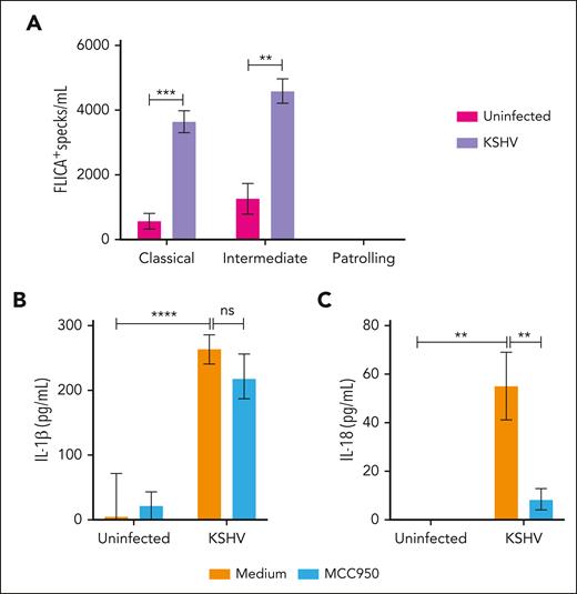 In vitro stimulation of monocytes with supernatants from KSHV-infected cells. HV-isolated monocytes were plated (1 × 106 cells per well) and incubated overnight with complete media containing 50% of supernatant from either uninfected or KSHV-infected HEK293T cells, in the presence or absence of the NLRP3 inflammasome inhibitor MCC950 (5 μM). After stimulation, culture supernatants were harvested for quantification of IL-1β and IL-18 by enzyme-linked immunosorbent assay (ELISA), and monocytes were stained for detection of inflammasome complex formation by imaging flow cytometry. (A) Numbers of monocytes showing FLICA+ ASC-speck formation per mL were quantified inside the monocyte gate. Lines represent mean values with standard error of the mean (SEM). Data were analyzed using the Welch t test to compare the uninfected with the KSHV-infected group within each monocyte subset. ∗∗P < .01; ∗∗∗P < .001. (B) The levels of (B) IL-1β and (C) IL-18 produced by stimulated monocytes were quantified by ELISA and compared across the different groups. Lines represent mean values with SEM. Data were analyzed using the Kruskal-Wallis test. ∗∗P < .01; ∗∗∗∗P < .0001. Data are presented as a pool of 2 different batches of HEK293T culture–derived supernatants.