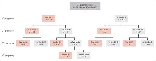 Outcomes of 74 pregnancies reported from 50 women out of 2654 adult women who underwent alloHCT in Germany between 2003 and 2018 at childbearing age (18-40 years).
