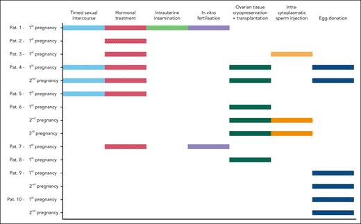 Information on assisted reproductive technologies and fertility preservation methods. Detailed information on conception for 15 pregnancies of 10 patients. Several women used multiple methods sequentially. Dashed bars indicate unsuccessful pregnancies and solid bars represent successful pregnancies.