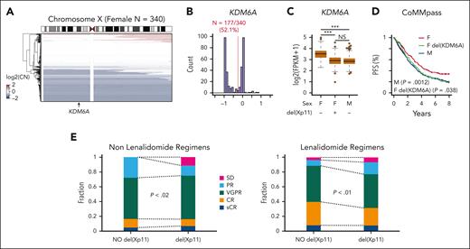 KDM6A monoallelic loss in female patients with myeloma corresponds with worse outcome. (A) Heat map of somatic copy number (CN) on the X chromosome for female patients with MM from CoMMpass. (B) Histogram of somatic CN for female patients. The red line denotes the threshold used for CN number loss and the number of female patients. (C) Expression of KDM6A in 703 patients with newly diagnosed MM from the CoMMpass trial with CN and RNA-sequencing data. P values determined by linear regression. (D) Progression-free survival for CoMMpass patients grouped into the categories shown in panel C. P values determined by Cox proportional hazards regression relative to the female (F; red) group. (E) Response of female patients with or without loss of the X chromosome, treated with lenalidomide or other regimens. SD, stable disease; PR partial response; VGPR, very good partial response; CR, complete response; sCR, stringent complete response (X2 test). FPKM, fragment per kilobase per million mapped fragment; M, male.