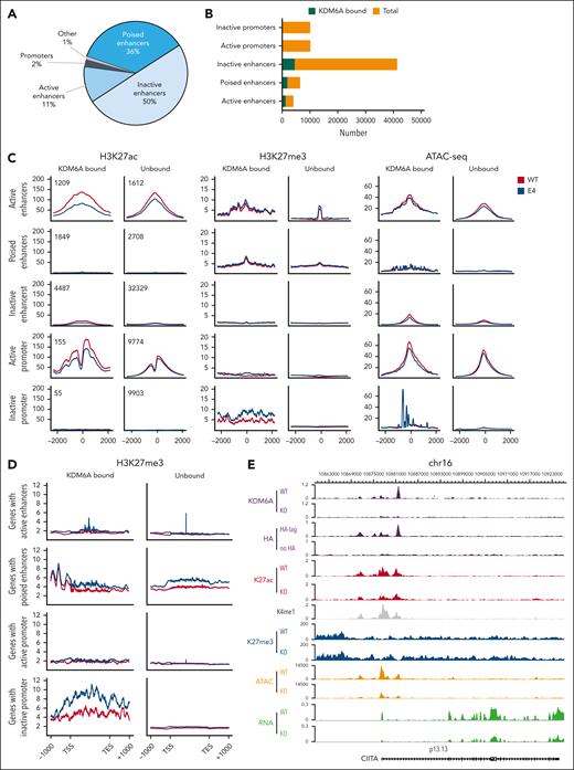 KDM6A loss impact on chromatin structure. (A) Distribution of KDM6A binding sites annotated regions of the genome in ARP-1 cell lines. (B) Box plot showing the proportion of total enhancers and promoters bound by KDM6A. (C) H3K27ac-seq, H3k27me3-seq, and ATAC-seq (assay for transposase-accessible chromatin with sequencing) signals in ARP-1 isogenic clonal cell line WT or KO for KDM6A centered on H3K4me1 peaks for enhancers and centered on transcription start sites for promoters. (D) H3K27me3 metagene analysis at locus bound by KDM6A in ARP-1 isogenic clonal cell line WT or KO for KDM6A. (E) Genome browser view of the CIITA locus in ARP-1 cell line WT or KO for KDM6A. TES, transcription end site; TSS, transcription start site.