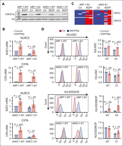 HDAC3 inhibition restores MHC expression in MM cell lines. (A) Immunoblot of H3K27ac 24 hours after treatment with 10 μM RGFP966. (B) Heat map of z scores for all expressed MHC genes in KDM6A clonal isogenic cell lines. (C) mRNA analysis by qPCR normalized to GAPDH 24 hours after treatment with 10 μM RGFP966 (3-5 biological replicates; ± SD. Wilcoxon t test). (D) Flow cytometry analysis of HLA-A/B/C and HLA-DM/DQ/DR in myeloma isogenic cell lines treated or not with 10 μM RGFP966 for 24 hours or 72 hours. Panel on the right shows the histograms MFI quantification of HLA-A/B/C and HLA-DM/DQ/DR (4 or 5 biological replicates; ± SD, Wilcoxon t test). Ctl, control.