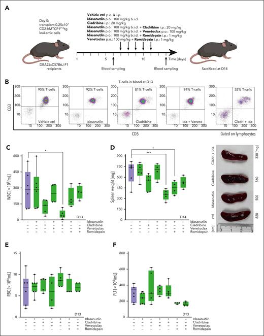 The synergistic combination cladribine/idasanutlin decreases T-PLL burden in MTCP1 transgenic mice, without showing hematologic toxicity. System of syngeneic transplants of leukemic cells from the CD2-hMTCP1p13 transgenic murine T-PLL model,28 investigating the efficacy as well toxicity of idasanutlin (n = 6), cladribine (n = 5), idasanutlin with cladribine (n = 4), idasanutlin with venetoclax (n = 5), idasanutlin with romidepson (n = 4), and venetoclax with romidepsin (n = 4) compared with vehicle control–treated mice (n = 6). (A) Scheme of scheduling and dosing: mice were injected intraperitoneal (i.p.) with 0.25 × 107 leukemic cells derived from the CD2-hMTCP1p13 transgenic murine T-PLL–like model. Treatment was performed on days 7 to 11 after transplantation at indicated dosages (p.o., per oral). Blood sampling was performed on day 6 and day 13. Mice were euthanized on day 14. (B) Flow cytometry analysis of CD3 and CD5 expression at day 13 after transplantation, gated on lymphocytes in PB. The T-cell population was significantly reduced after treatment with idasanutlin and cladribine (95% in the vehicle control condition vs 52% in the idasanutlin + cladribine condition). (C-F) Box plots presenting the WBC counts (C), spleen weights (D), red blood cell counts (RBCs) (E), and platelet counts (PLTs) (F). The WBCs, RBCs, and PLTs were calculated on day 13 after transplantation from PB, and the spleen weight was measured on day 14 (mean with SEM; 1-way ANOVA; Bonferroni correction for multiple comparisons, ∗P < .05; ∗∗∗P < .001). See supplemental Figure 9 for proportions of T cells in the bone marrow and relative weight loss upon treatment.