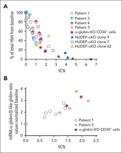Evaluation of the effect of ALS20αI transduction on HbH and α-globin mRNA levels in mutant cells. (A) The percentage of total HbH relative to VCN measured by cation-exchange HPLC in erythroblasts differentiated from HUDEP-αKO clones, α-globin–KO CD34+ cells, and cells from patients with HbH. Each symbol represents 1 biological replicate: Patients 1 (n = 12), 3 (n = 3), 4 (n = 5), and 5 (n = 5). Genotypes are summarized in Table 2. In HUDEP-αKO clone 9, n = 7, in clone 7, n = 2, and in clone 62, n = 2. In α-globin–KO CD34+, n = 2. (B) The HBA:(HBB + HBG + HBD) mRNA relative to VCN in a patient with the –α3.7/− −SEA deletion (n = 8, patient 1 in Table 2), in a patient with homozygous Agrinio (427 T>A) mutation (n = 5, patient 5 in Table 2), and in α-globin–KO CD34+–derived erythroid cells. These analyses also suggested that 1 copy of ALS20αI produced as many human α-globin chains as those of a single endogenous α-globin gene.