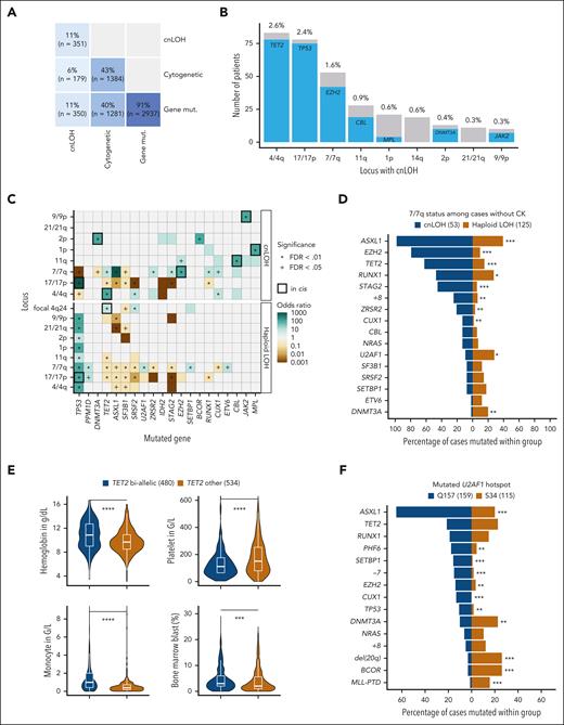 Integrative comutation patterns in MDS and implications for genotype-phenotype analysis. (A) Proportion and number of patients with or without gene mutations (mut.), cytogenetic alterations, and cnLOH events. (B) Number of patients with cnLOH at the most recurrent loci and co-occurrence of gene mutations in cis. The most recurrent cnLOH loci were 4/4q (2.6%), 17/17p (2.3%), and 7/7q (1.6%). Mutations in TET2, TP53, and EZH2 occurred in 94% (78/83), 96% (75/78), and 79% (42/53) of cases with cnLOH at the 4/4q, 17/17p, and 7/7q loci, respectively. (C) Heat map representing mutual exclusivity (brown) or co-occurrence (green) between gene mutations and loci with haploid LOH or cnLOH. Apart from the strong cnLOH–gene mutation interaction in cis (black thick line), focal deletions at the TET2 locus (4q24) also co-occurred with TET2 mutations (OR, 2.4; P = .0007). P values are from Fisher exact test with Benjamini-Hochberg (BH) multiple testing correction. (D) Comparison of comutation frequencies between cases with cnLOH (blue) or haploid LOH (gold) at 7/7q in the absence of CK. For example, mutations in EZH2 were enriched in the 53 cases with cnLOH at 7/7q (79%) compared with the 125 cases with isolated haploid LOH at 7/7q (10%). Conversely, haploid LOH at 7/7q was significantly enriched for U2AF1 and DNMT3A mutations (28% and 20%) compared with cnLOH at 7/7q (9% and 2%). P values are from Fisher exact test with BH multiple testing correction. ∗∗∗P < .001; ∗∗P < .01; ∗P < .05. (E) Comparison of the distributions of blood counts and of the percentage of BM blasts between cases classified as TET2 biallelic (blue) or TET2 other (ie, likely monoallelic, gold). P values are from the Wilcoxon rank-sum test. ∗∗∗∗P < .0001; ∗∗∗P < .001. (F) Comparison of comutation frequencies between cases with U2AF1 Q157 or S34 hot spot mutations. For example, ASXL1 mutations were present in 65% and 20% of patients with U2AF1 Q157 and S34 mutations, respectively (OR, 7.3; P < .0001). Mutations in CUX1, EZH2, PHF6, SETBP1, TP53, and monosomy 7 were also significantly more frequent in the Q157 subset. Conversely, BCOR mutations and del(20q) were more common in patients with S34 (26%) compared with Q157 (3%) mutations (P < .0001). P values are from Fisher exact test with BH multiple testing correction. ∗∗∗P < .001; ∗∗P < .01. FDR, false discovery rate; PTD, partial tandem duplication.