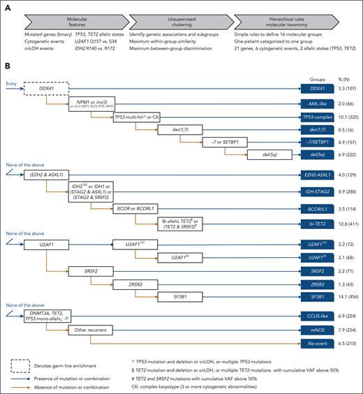 Derivation of 16 MDS molecular groups. (A) Schematic of the analytical workflow to identify molecular groups. Features were based on the presence or absence of genetic alterations (gene mutations, cytogenetic, and cnLOH events). Distinct allelic states or hot spots were also included based on prior knowledge (TP53 allelic state, IDH2 hot spots) or univariate comutation analysis (TET2 allelic state, U2AF1 hot spots). (B) Rules of co-occurrence and mutual exclusivity of genetic alterations organized in a hierarchical classification tree.