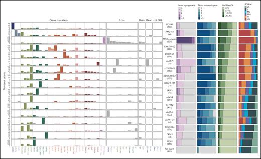 Molecular composition and main characteristics of MDS molecular groups. Each row represents a molecular subgroup, and molecular features are ordered by blocks of gene mutations, chromosomal losses, gains, rearrangements, and cnLOH events. For each subgroup, the relative proportions of (1) the number of mutated genes per patient, (2) the number of cytogenetic alterations per patients, (3) the proportion of BM blasts, and (4) IPSS-M risk category are indicated as stacked bar plots. H, high; L, low; MH, moderate high; ML, moderate low; VH, very high; VL, very low.