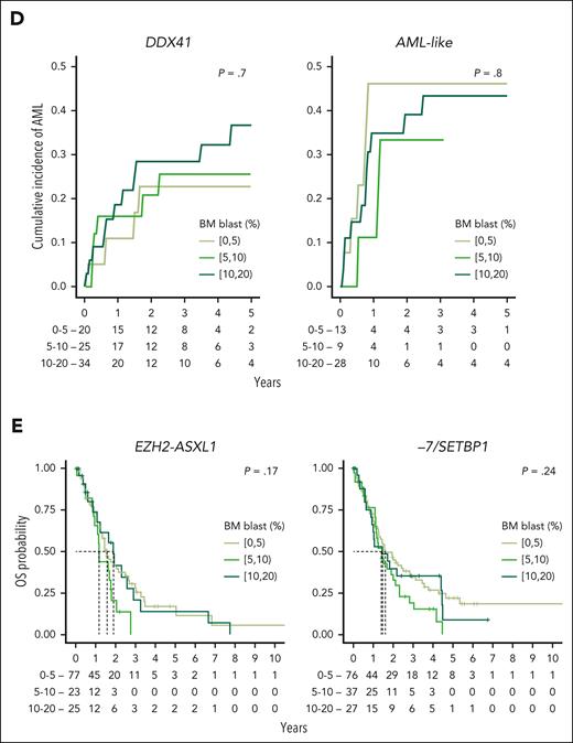 Associations between MDS molecular groups, clinical phenotypes, and outcomes. (A) Association between molecular groups and clinical phenotypes. Darker blue indicates co-occurrence, and darker red indicates mutual exclusivity. (B) Association between molecular groups and outcomes, for OS (left) and AML transformation (AML-t, right). Dots indicate median OS and lines extend to the interquartile range (left). Dots indicate the 2-year incidence of AML-t and lines extend to the 1-year and 3-year incidences (right). The outcome metrics on the full cohort are provided on top for comparison. P values are from the log-rank test (OS) and the Gray test (AML-t). ∗∗∗P < .001; ∗∗P < .01; ∗P < .05. (C) Distribution of the percentage of BM blast for 12 molecular groups with at least 10 patients within each subset of BM blast, that is, 0% to 5%, 5% to 10%, and 10% to 20% (left). Median survival (dots) and interquartile range (lines) for each blast subset within each molecular group (right). P values are from a univariate Cox model with the 0% to 5% blast subset used as the reference level. The distributions of the full cohort are provided on top for comparison. (D) Cumulative incidence curves of AML-t stratified with the range of percentage of BM blast within the DDX41 and AML-like subgroups. P values are from the Gray test. (E) Kaplan-Meier probability estimates of OS stratified with the range of percentage of BM blast within the EZH2-ASXL1 and −7/SETBP1 subgroups. P values are from the log-rank test. CI, confidence interval; HR, hazard ratio; ref, reference level.