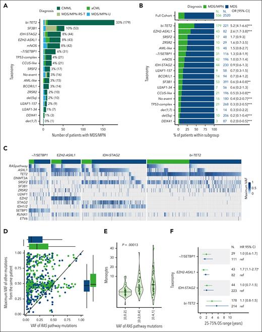 Genetic heterogeneity of MDS/MPN with ubiquitous RAS pathway mutations enrichment. (A) Prevalence of molecular groups in 536 patients with MDS/MPN color-coded by specific subtypes. The bi-TET2 group accounted for 33% of MDS/MPN cases and 42% (168/399) of CMML cases. The EZH2-ASXL1 group comprised 8% of MDS/MPN cases and 26% (10/38) of atypical chronic myeloid leukemia (aCML) cases. The majority of MDS/MPN with ring sideroblasts and thrombocytosis (MDS/MPN-RS-T) cases (63%, 27/43) were part of the SF3B1 group. (B) Proportion of MDS/MPN (green) and MDS (blue) within each molecular group and comparison with the full cohort (top). (C) Oncoplots for each molecular group (−7/SETBP1, EZH2-ASXL1, IDH-STAG2, and bi-TET2) separating MDS/MPN (green) and MDS (blue). Each column corresponds to a patient. The presence of a mutation in each gene for each patient is color-coded by the VAF (maximum VAF if several mutations within the same gene). RAS pathway mutations include mutations in N/KRAS, CBL, NF1, and PTPN11. They were observed in 68%, 51%, 45%, and 40% of patients with MDS/MPN within groups −7/SETBP1, EZH2-ASXL1, IDH-STAG2, and bi-TET2, respectively, compared with 33%, 21%, 14%, and 15% of patients with MDS within the same groups. (D) Scatterplot representing 1 dot per patients with RAS pathway mutation, with the VAF of RAS pathway mutations on the x-axis and the maximum VAF of all other mutations in the same patient on the y-axis. (E) Monocyte level in 109/L as a function of the VAF of RAS pathway mutations in the subset of 297 patients with MDS/MPN from the same molecular groups as in panel C. (F) Median survival (dots) and interquartile range (lines) for MDS/MPN (green) and MDS (blue) within each molecular group. Patients from the bi-TET2 group had favorable OS (median, 5.5 and 3.9 years for MDS and MDS/MPN, respectively). Conversely, patients from the IDH-STAG2, EZH2-ASXL1, and −7/SETBP1 groups had dismal OS in both subsets (median, 2.1, 1.8, and 1.5 years, respectively, in MDS and 2.2, 1.1, and 2.0 years, respectively, in MDS/MPN).