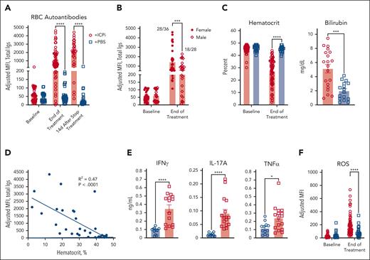 ICPi treatment promotes AIHA development in HOD+OTII+ mice. Young (aged 2-3 months) male and female HOD+OTII+ mice were treated 14 days with antibodies against PD1, Lag-3, CTLA-4, and IL-10R (ie, ICPi, represented in red). Control mice were treated with phosphate-buffered saline (PBS; blue). (A) Whole blood was collected at baseline, after 14 days of treatment, and 14 days after treatment cessation, and sera were analyzed for RBC autoantibodies by flow crossmatch. (B) The frequency of autoantibodies after 14 days of ICPi treatment was stratified by sex: 28 of 36 females and 18 of 28 males produced autoantibodies. (C) Hematocrit and bilirubin concentration demonstrates that ICPi treated (red) but not control mice (blue) exhibited RBC hemolysis and became anemic. (D) Linear regression analysis showing a significant negative correlation between RBC autoantibody levels and hematocrit (R2 = 0.47; P < .0001). (E) Serum cytokine levels 2 weeks after ICPi or PBS control treatment. (F) Levels of reactive oxygen species (ROS) in peripheral RBCs. Data in panels A, B, C, and F are combined from 6 independent experiments with 4 mice per group. Data for bilirubin are combined from 3 to 5 independent experiment with 4 mice/group. Data in panel E are combined from 2 independent experiment with 10 mice per group. Statistical significance was determined by Pearson correlation, Mann-Whitney test, or repeated measures 2-way analysis of variance (ANOVA) with Sidak multiple comparisons test: ∗P < .05; ∗∗∗P < .001; ∗∗∗∗P < .0001. Igs, total immunoglobulins; MFI, mean fluorescence intensity.