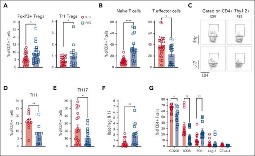 ICPi treatment promotes expansion of proinflammatory CD4+T cells. Spleens were collected from ICPi- (red) and PBS-treated (blue) young (aged 2-3 months) HOD+OTII+ mice after 14 days of treatment. Splenocytes were processed into single-cell suspensions and stained with antibodies to delineate T-cell subsets. (A) The frequency of Tregs identified as FoxP3+ Tregs (CD4+CD25+FoxP3+) and Tr1 Tregs (CD4+FoxP3–CD25–CD49b+Lag3+IL10+) of total CD4+ T cells was calculated. To determine Tr1 Tregs, enriched CD4+ T cells were stimulated for 72 hours at 37°C with PMA (50 ng/mL) and ionomycin (500 ng/mL), incubated 1 hour with brefeldin A, and stained to identify the Treg subset. (B) CD4+ T cells were stained with antibodies against CD62L and CD44 to quantify the percentage of CD62L+CD44– naïve and CD62L–CD44+ effector cells. To determine THs, enriched CD4+ T cells were stimulated for 24 hours at 37°C with PMA (50 ng/mL) and ionomycin (500 ng/mL), incubated 1 hour with brefeldin A, and stained intracellularly for IFN-γ and IL-17A. (C-E) Representative flow plots (C) and frequency of TH1 (D) and TH17 cells (E). (F) Ratio of Tregs-to-TH17 cells was calculated for both groups of mice. (G) Frequency of CD4+ T cells expressing CD200, ICOS, PD1, Lag-3, and CTLA-4. Different clones than those contained within the ICPi cocktail were used for PD1, Lag-3, and CTLA-4 staining. Data shown are cumulative of 4 to 5 independent experiments with 5 mice per group. Statistical significance was determined by Mann-Whitney test; ∗P < .05; ∗∗P < .01; ∗∗∗∗P < .0001.