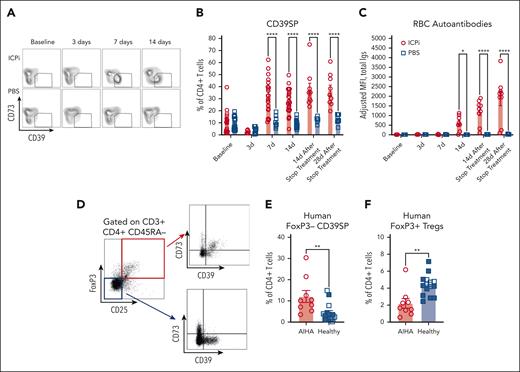 CD39SP precede autoantibody production. Whole blood and sera were collected from young (aged 2-3 months) HOD+OTII+ mice before, during (3 and 7 days), and at the cessation of ICPi or PBS treatment (∼14 days); (A-C) representative flow plots (A) and frequency of CD39SP in peripheral whole blood (B) and RBC autoantibodies (C) in sera are shown at each time point. (D) Representative flow plots of FoxP3 and CD25 staining in CD3+CD4+CD45RA– gated T cells isolated from human patients with AIHA (n = 9) and healthy volunteers (n = 15). Expression of CD39 and CD73 on gated FoxP3+ Tregs (red box) and on gated FoxP3–CD25– T cells (blue box) were shown. (E-F) Frequencies of CD39SP with phenotype CD4+CD39+CD73–FoxP3–CD25– (E) and FoxP3+ Tregs (F) were detected in PBMCs from patients with AIHA (not treated with ICPi) and healthy volunteers. Age-matched healthy volunteers are colored blue. Data presented in panels A-C are cumulative from 4 to 5 independent experiments with 3 to 4 mice per group. Statistical significance was determined by Mann-Whitney test: ∗P < .05; ∗∗P < .01; ∗∗∗∗P < .0001.
