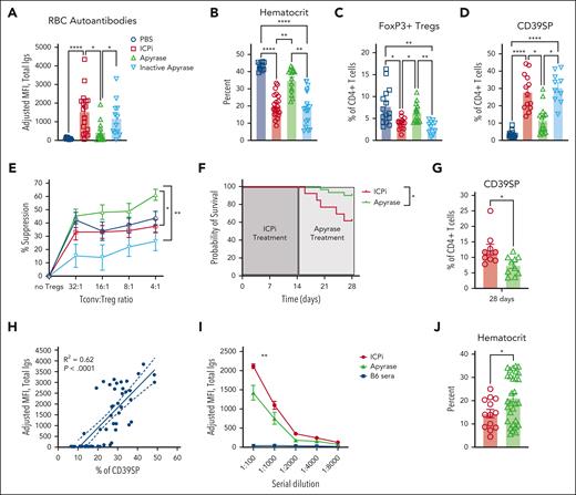 Prophylactic and therapeutic administration of apyrase ameliorates ICPi-induced AIHA. Whole blood was collected from young (aged 2-3 months) HOD+OTII+ mice treated with apyrase or with an inactivated apyrase before every ICPi injection. (A-B) Sera were analyzed for RBC autoantibodies by flow crossmatch for HOD-specific autoantibodies (A) and hematocrit percentage (B) was calculated. (C-D) Frequencies of FoxP3+ Tregs (C) and CD39SP (D) were calculated. (E) Suppressive activity of CD4+CD25+ T cells collected from apyrase-pretreated (green), inactive apyrase-pretreated (light blue), ICPi-treated (red), and PBS-treated (blue) HOD+OTII+ mice. Suppression was assessed by adding CD4+CD25− T cells (Tconv) in culture with serial dilutions of CD4+CD25+ enriched T cells. Cells were stimulated with anti-CD3 10 μg/mL and anti-CD28 20 μg/mL for 72 hours at 37°C. Suppression was expressed as percentage of decreased number of Tconv. (F-G) Kaplan-Meier survival curve (F) and CD39SP level (G) in whole blood of mice treated with ICPi for 14 days followed by injection of PBS (red line) or 5 units of apyrase daily for 14 days (green line). (H) Linear regression analysis showing a significant positive correlation between RBC autoantibody levels and frequency of CD39SP (R2 = 0.62; P < .0001). (I) Young (aged 2-3 months) HOD+OTII+ mice were treated with ICPi for 14 days alone (red; n = 13) or with apyrase treatment beginning at 7 days (ie, when CD39SP are detectable; green; n = 30). Sera from B6 animals were collected as controls (blue). Sera were serially diluted and analyzed for RBC autoantibodies then analyzed in a flow crossmatch. (J) Hematocrit percentage for mice treated with ICPi alone or with apyrase was calculated. Data presented in panels A-D are combined from 3 different experiments with 4 mice per group. Data presented in panels E-F are combined from 2 different experiments. Statistical significance was determined by 2-way ANOVA with Sidak posttest, Mann-Whitney test, and by log-rank test: ∗P < .05; ∗∗P < .01; ∗∗∗∗P < .0001.