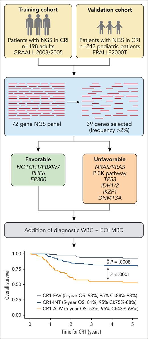Development of an NGS risk classifier in adult and pediatric cohort of patients with T-ALL. CR1-INT, CR1 intermediate risk; EOI, end of induction. Professional illustration by Patrick Lane, ScEYEnce Studios; the graph is reproduced from Figure 4B in the article by Simonin et al that begins on page 1570.