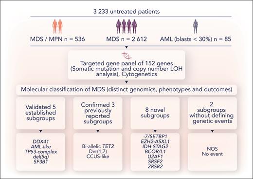 A schematic overview of the methodology and conclusions from Bernard et al. NOS, molecularly not otherwise specified; No event, absence of any recurrent drivers evaluated in this study. Professional illustration by Somersault18:24.