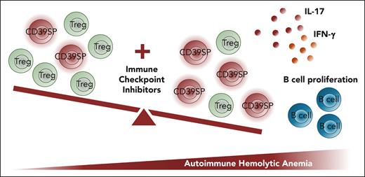 Combined immune checkpoint inhibitors disrupt T-cell tolerance, leading to the expansion of CD39SP T cells and the onset of autoimmune hemolytic anemia (AIHA). Combined ICPis (blocking antibodies against PD-1, Lag-3, CTLA-4, and IL-10R) promote the expansion of CD39SP, causing an imbalance between Treg and effector T cells. CD39SP cells release proinflammatory cytokines interleukin-17 (IL-17) and interferon-γ (IFN-γ), stimulate B-cell proliferation, and promote the development of AIHA.1
