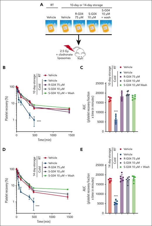S-G04, an enantiomer of R-G04, is more potent and able to improve in vivo platelet survival of cold-stored human platelets up to 10 days in a preclinical model. (A) Schematic experimental design for the in vivo preclinical model of platelet survival analysis. (B) Recovery of 7-day stored human platelets transfused in clodronate-treated, sublethally irradiated thrombocytopenic NSG immunodeficient mice. (C) AUC of data depicted in panel B. (D) Recovery of 10-day stored human platelets transfused in clodronate-treated, sublethally irradiated thrombocytopenic NSG immunodeficient mice. (E) AUC of panel D. For each experiment, data include a minimum of 6 mice per group in each of the 2 independent experiments. ∗∗∗P < .001.