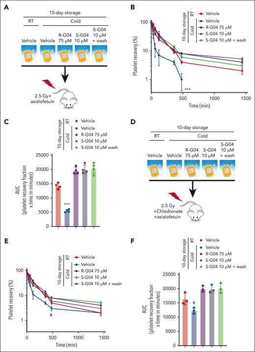Combined host disruption of macrophage- and hepatocyte-mediated clearance phenocopies the effect of R- and S-G04 on the clearance of cold-stored platelets. (A) Schematic experimental design for the in vivo preclinical model of platelet survival analysis with AMR inhibitor. (B) Recovery of 10-day stored human platelets transfused to clodronate-treated, sublethally irradiated thrombocytopenic NSG immunodeficient mice after asialofetuin treatment. Wash step: rewarming for 15 minutes followed by the wash step and rest for another 15 minutes at RT. (C) AUC of data depicted in panel B. (D) Schematic experimental design for the in vivo preclinical model of platelet survival analysis with AMR inhibitor and macrophage depletion. (E) Survival of 10-day stored human platelets transfused to clodronate-treated, sublethally irradiated thrombocytopenic NSG immunodeficient mice with clodronate liposomes and asialofetuin treatment. (F) AUC of data depicted in panel E. Wash step includes rewarming for 15 minutes followed by the wash step and rest for another 15 minutes at RT. For each experiment, data include a minimum of 4 mice per group in each of the 2 independent experiments. #P = .06; ∗∗∗P < .001.