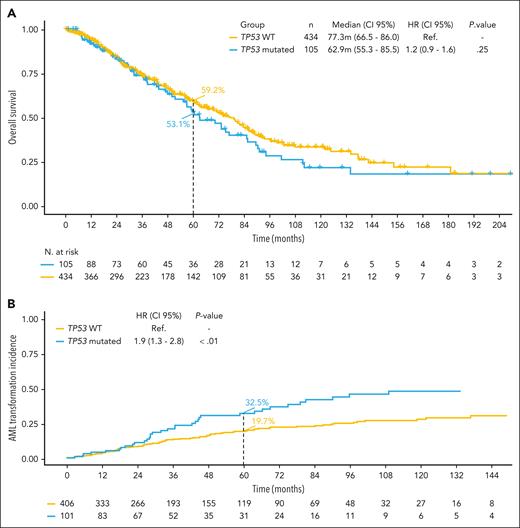 Kaplan-Meier curves for OS and risk of AML evolution according to TP53 mutational status. (A) The median OS was 77.3 months (95% CI, 66.5-85.3) for TP53-wt; and 62.9 months (95% CI, 55.3-85.5) for TP53-mut patients (P = .25). (B) The risk of evolution to AML at 60 months was 19.7% for TP53-wt and 32.5% for TP53-mut patients (HR, 1.9; 95% CI, 1.3-2.8; P < .01). Ref., reference.