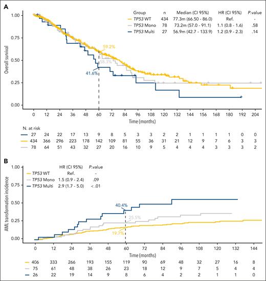 Kaplan-Meier curves for OS and risk of AML evolution according to TP53 allelic state. (A) The median OS was 73.2 months (95% CI, 57.0-91.1) for TP53-monoallelic and 56.9 (95% CI, 42.7-133.9) for TP53-multihit patients (P = .33). (B) The risk of evolution to AML at 60 months was 25.5% for TP53-monoallelic and 40.4% for TP53-multihit patients (HR, 1.9; 95% CI, 1.0-3.7; P = .04).