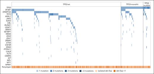 Molecular profile of patients with MDS-del(5q) according to TP53 allelic state. Oncoplot showing the distribution of gene mutations in the 27 genes analyzed across all patients with NGS data (n = 626) in the different groups according to TP53 allelic state (TP53-wt, n = 501; TP53-mono, n = 94; TP53 multihit, n = 31). Mutational patterns did not exhibit significant differences among TP53-wt, TP53-monoallelic, and TP53-multihit patients. The most frequently mutated gene among this cohort was TP53 (20%), followed by SF3B1 (19%), DNMT3A (17%), TET2 (13%), ASXL1 (9%), and JAK2 (7%). The median number of mutations was 1 in each subgroup. Each column represents 1 patient. All 27 analyzed genes as well as the occurrence of del(5q) as a sole aberration or with 1 additional cytogenetic aberration are given for each patient and represented in rows. White represents wild type; blue, mutated (number of mutations are depicted in different shades of blue); light orange, isolated del(5q); and dark orange, del(5q) and 1 additional lesion.