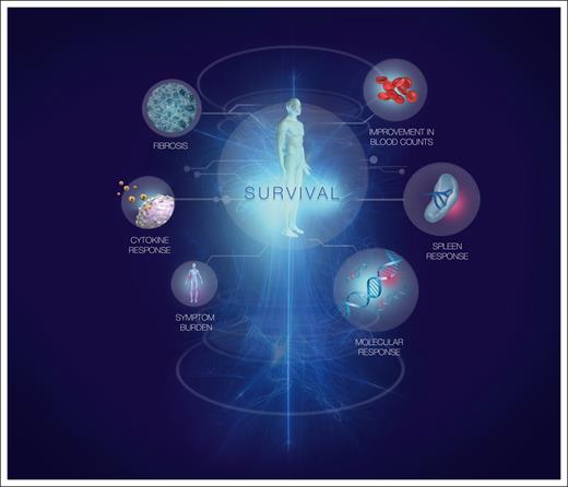 Responses associated with disease-modifying potential in MF. Response measures commonly assessed in MF are shown. The size of each circle is proportional to its predicted importance as a marker of disease-modifying potential. Our assessment of importance comprises both its biological relevance and the feasibility of assessing the response accurately in routine clinical practice.