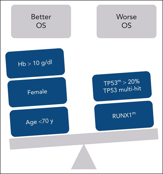 Factors influencing OS in patients with myelodysplastic syndromes with the 5q deletion. Hb, hemoglobin; OS, overall survival.