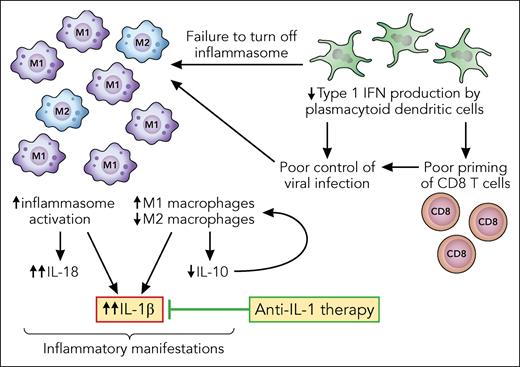 WAS-deficient myeloid cells drive excess inflammation. In response to infectious or other stimuli, the inflammasome is activated in macrophages, triggering elaboration of IL-1β, IL-18, and other cytokines. Patients with WAS have an excess of proinflammatory M1 macrophages, and M2 macrophages inappropriately secrete IL-1β. The regulatory cytokine IL-10 requires WASP to signal in macrophages, which results in failure to differentiate into M2 macrophages, an important source of IL-10. Plasmacytoid dendritic cells in patients with WAS are poor producers of type 1 interferon. The lack of type 1 interferons fuels macrophage activation directly by failing to turn off the inflammasome and indirectly by insufficient activation of CD8 T cells needed to clear the original infectious trigger. Professional illustration by Patrick Lane, ScEYEnce Studios.